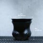POT THUNDER SIZE L（5号サイズ鉢）